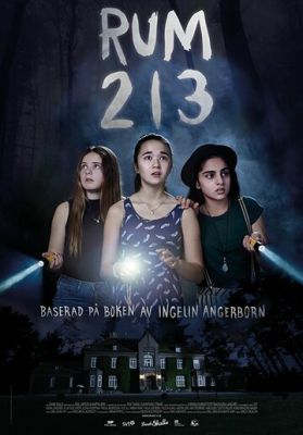 Кімната 213 (2017)