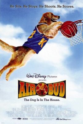 Король повітря (1997)