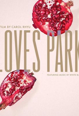 Loves Park (2017)