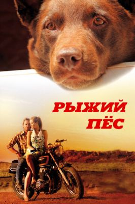 Рудий пес (2011)