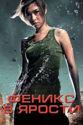 Фенікс в люті (2009)