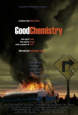 Хороша хімія (2008)