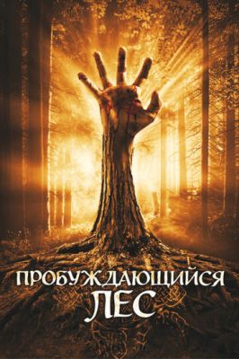 Пробуджується ліс (2009)