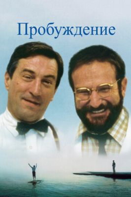 Пробудження (1990)