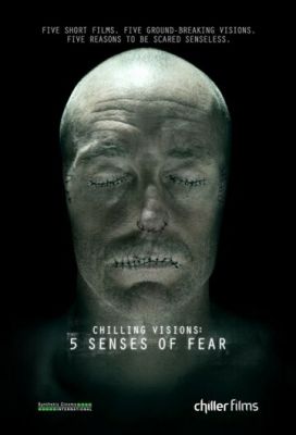 5 почуттів страху (2013)