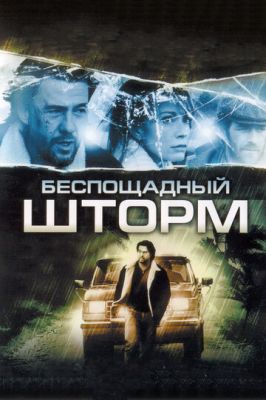 Жорстокий шторм (2010)