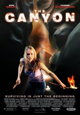 Каньйон (2009)