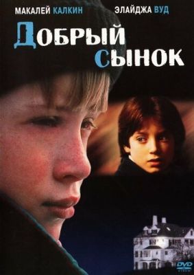Добрий синку (1993)