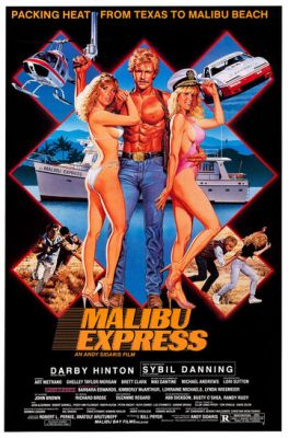 Малібу-експрес (1985)