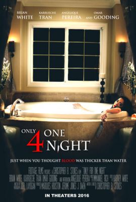Тільки на одну ніч (2016)