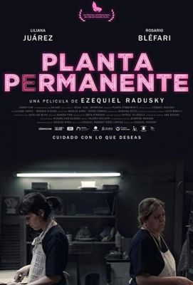 Planta permanente (2019)