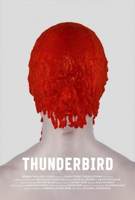 Thunderbird ()