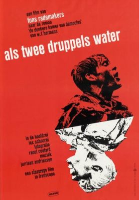 Як дві каплі води (1963)