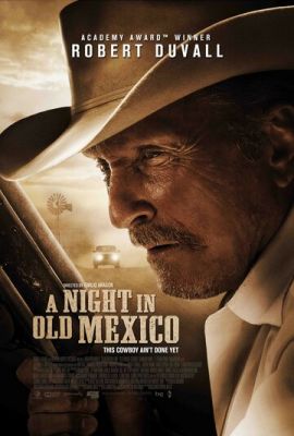 Ніч у старій Мексиці (2013)