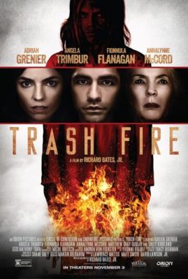 Пожежа на смітнику (2016)