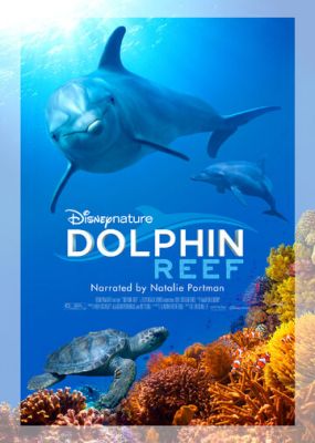 Дельфіній риф (2018)