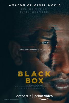 Чорний ящик (2020)