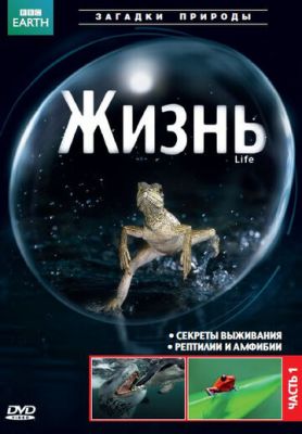 BBC: Життя (2009)