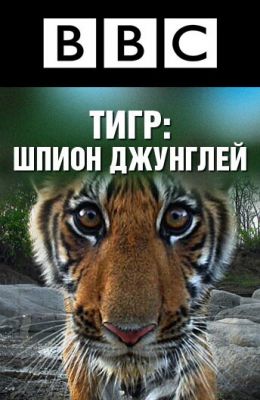 BBC: Тигр - шпигун джунглів (2008)