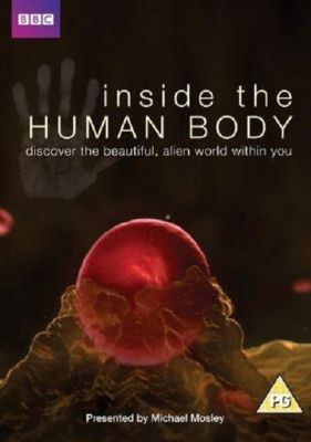 Всередині людського тіла (2011)