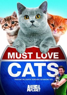 Котів не любити не можна (2011)