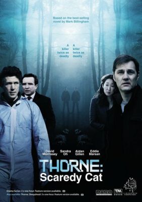 Торн: Лякана ворона (2010)