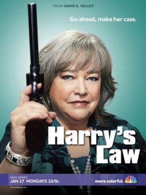 Закон Геррі (2011)