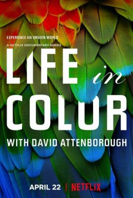 Життя у кольорі з Девідом Аттенборо (2021)